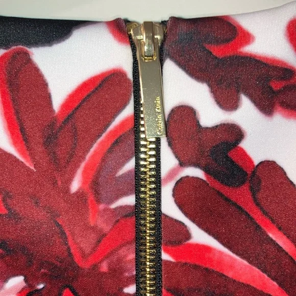 Calvin Klein Red and Black Sheath Dress Sleeveless Crew Neck Midi - Picture 4 of 5